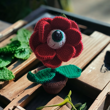 Eyeball Flower