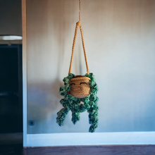 Fern Car Hanging Plant (face)